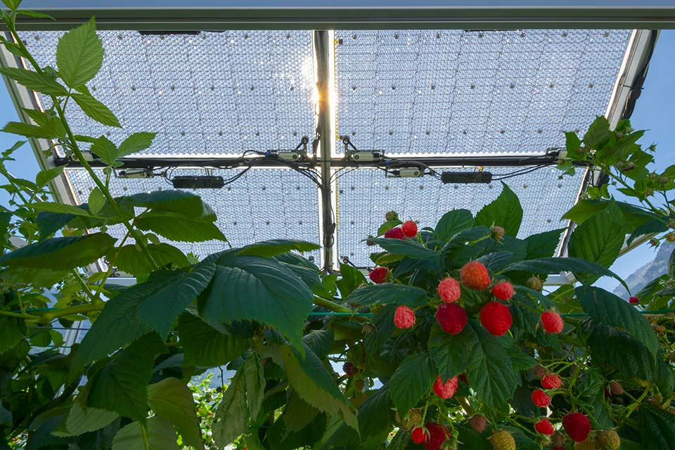 As Inovações Mais Recentes no Mercado de Energia Solar em 2024